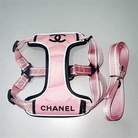 dog chanel clothes|coco chanel dog accessories.